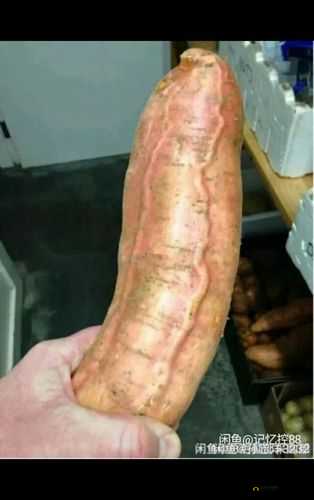 女方用嘴巴吃鸡后多久恢复真实答案：因人而异