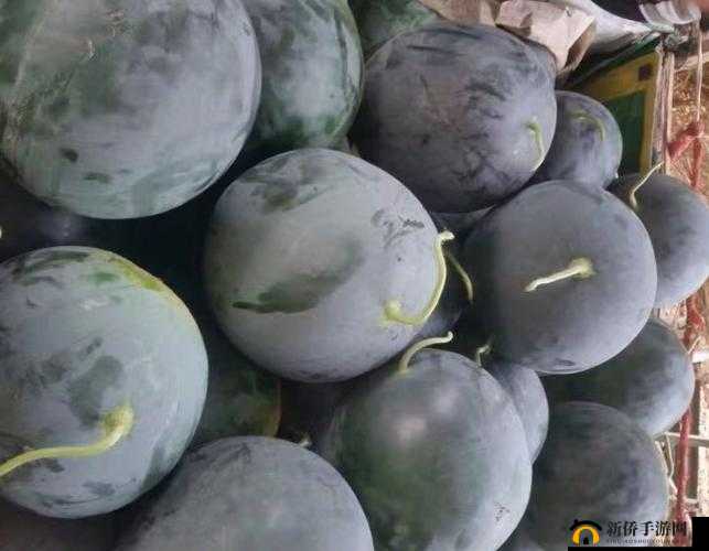 718 黑瓜吃料：相关解析