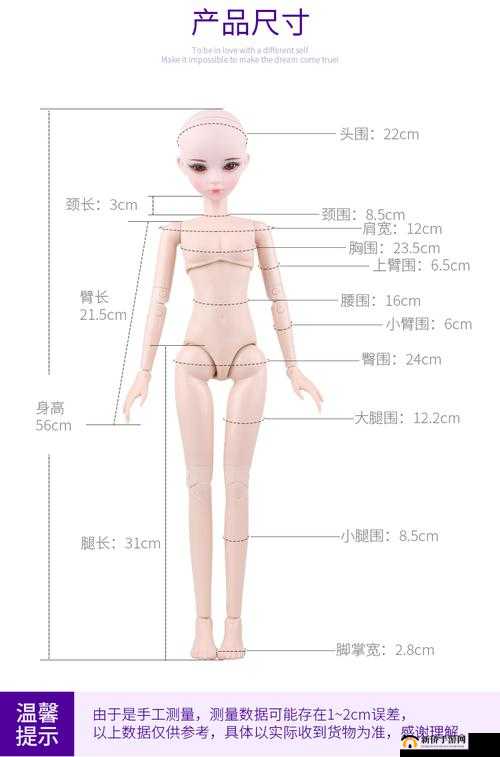 八寸娃娃：直观感受其尺寸大小