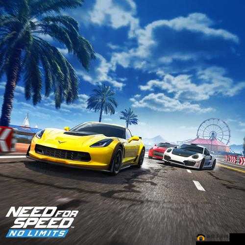 9+1 免费版极速版，畅玩无极限