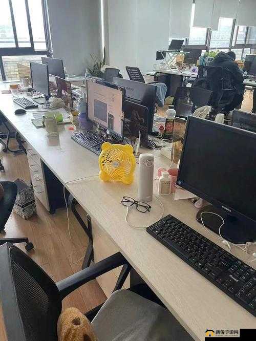 办公室：一场激情与风险的挑战