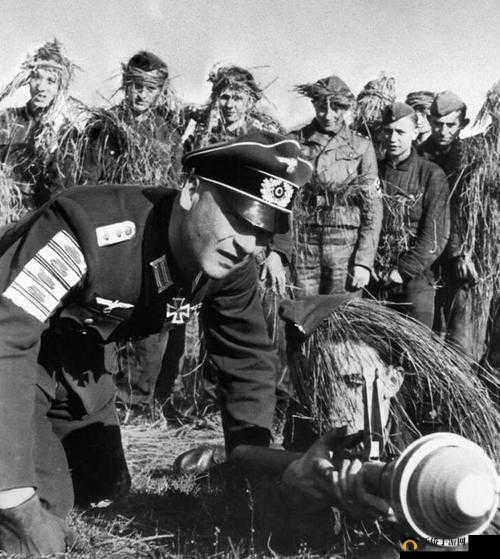 二战医疗前线：伤兵救治的秘辛与挑战