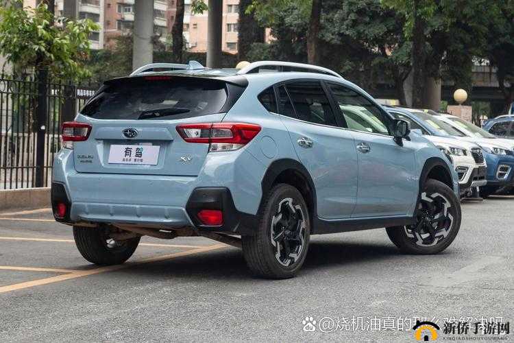 XVDEVIOSxvdevios100 是什么：探寻其奥秘