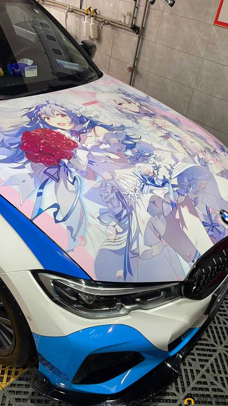 少女视频哔哩哔哩免费软件：畅享精彩无极限