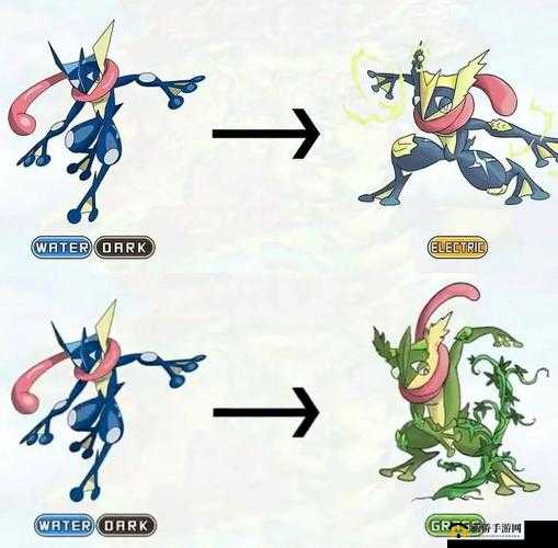 宝可梦朱紫：甲贺忍蛙战斗策略详解