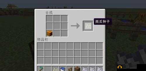 我的世界南瓜种植指南：南瓜有什么用？