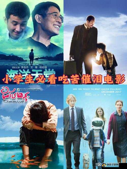 小学生高清电影免费观看：海量资源等你看