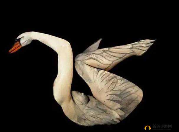 370 大胆人文艺术：展现独特魅力