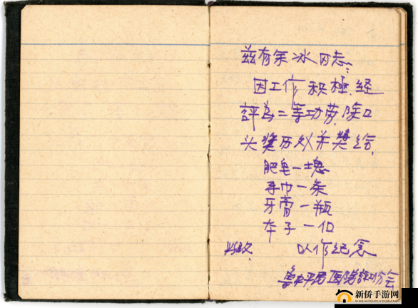 游荡的生活日记：记录别样人生轨迹