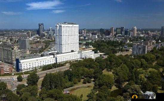 荷兰在当今世界：其地位与作用