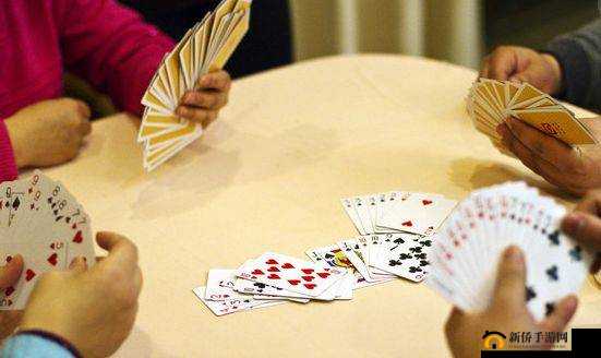 打扑克不盖被：趣味游戏中的别样体验