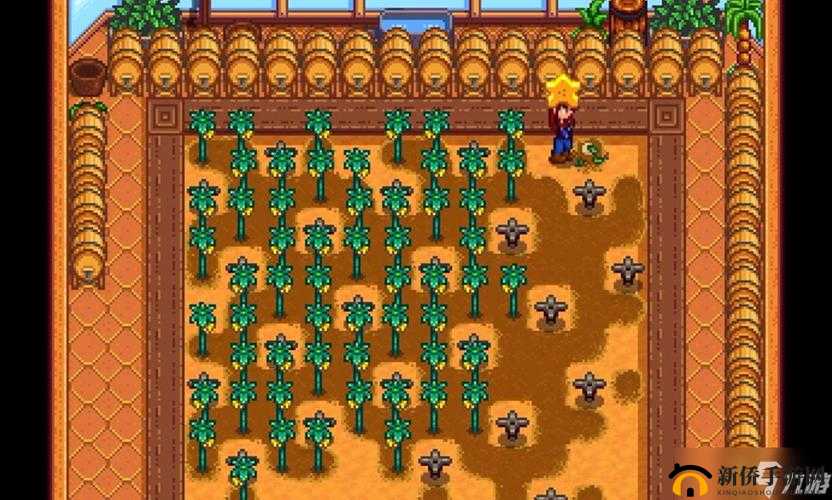 星露谷物语绵羊养殖大师：高效羊毛流攻略