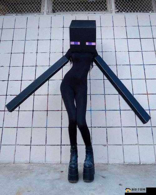 老外 Minecraft 中女性角色的魅力
