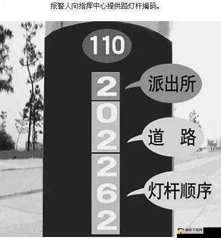 无人区编码 6229JM 如何解读：探索神秘编码的秘密