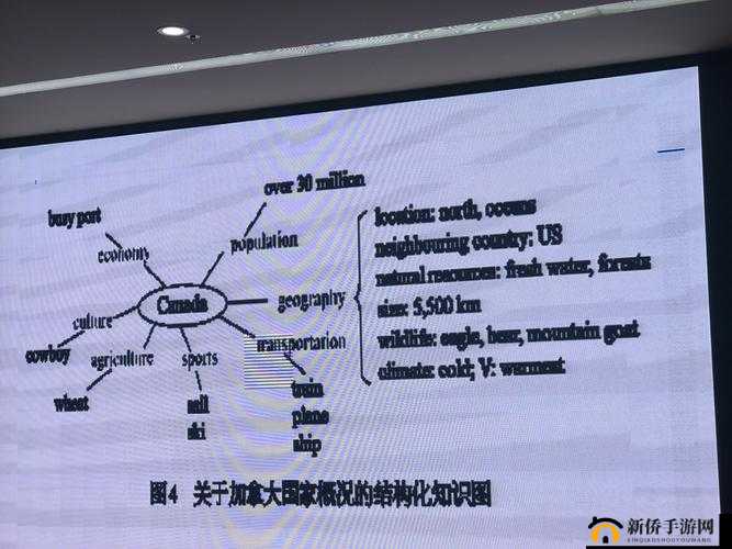 意大利 vedo 相关内容探讨