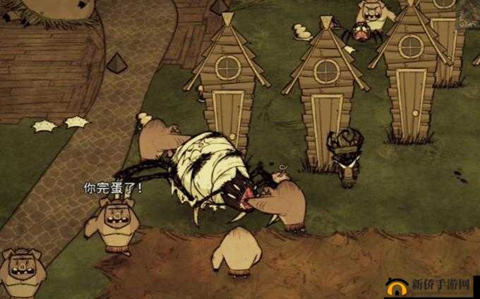 海难求生秘技：蜘蛛帽的七大生存奇效