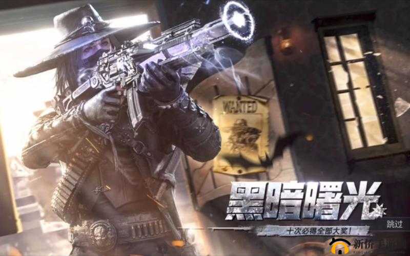 暗夜与曙光：双属性平衡攻略