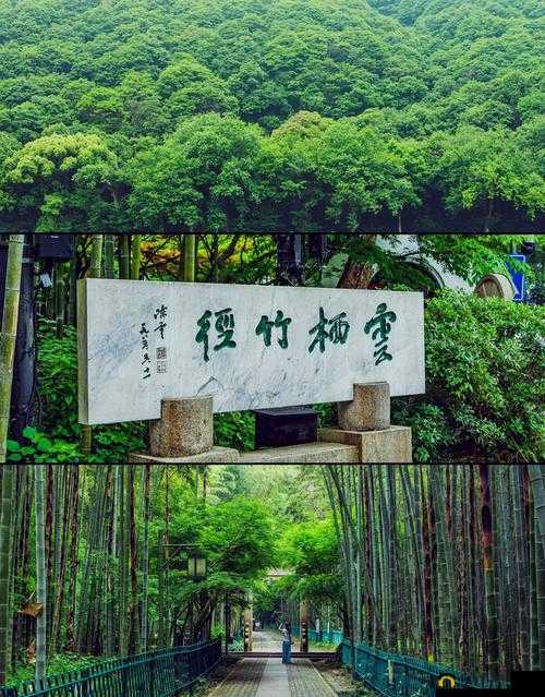 卧虎藏龙群战巧妙抢人头的绝佳策略与实战技巧指南