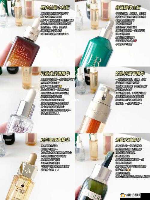 无人精华区二区区别：