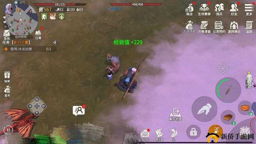 冰原守卫者：紫色品质升级攻略，全方位提升秘籍