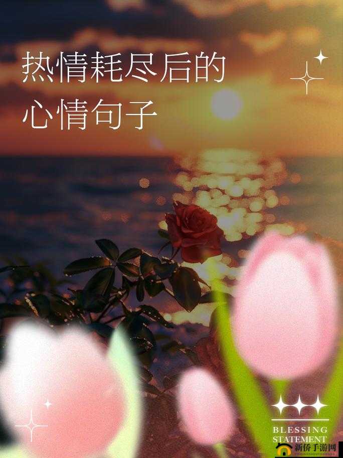 潮水欢迎你：踏上热情的旅程