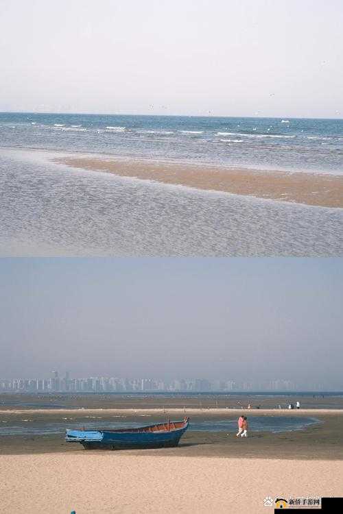 四人个人换着玩感受：独特体验分享