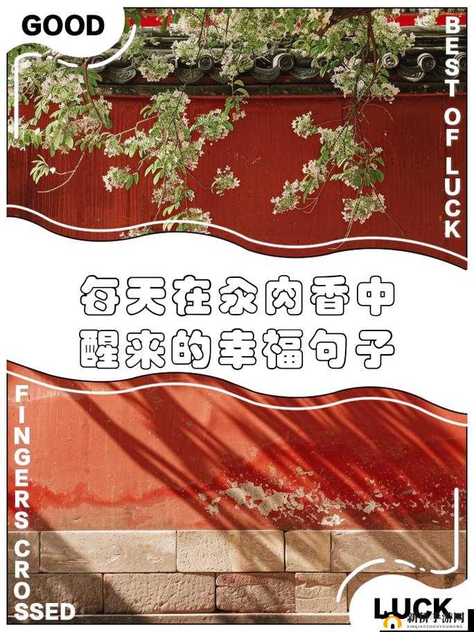 每天都在汆肉中醒来：美食人生的开始