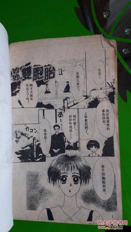 妙妙双胞胎 1-2 全：奇妙成长之旅