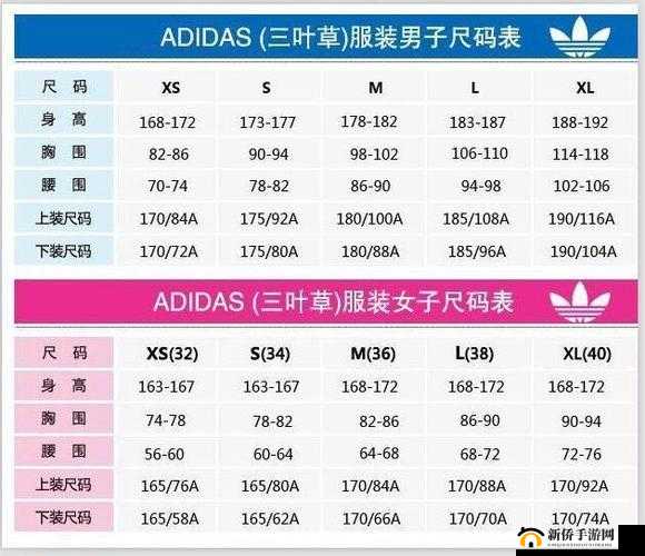 三叶草亚洲尺码与欧洲尺码的区别