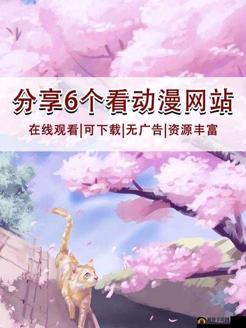 樱花动漫官网入口到底是哪个：探寻其真面目