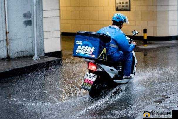 扦插 BB 有什么好处：详细解析及优势所在