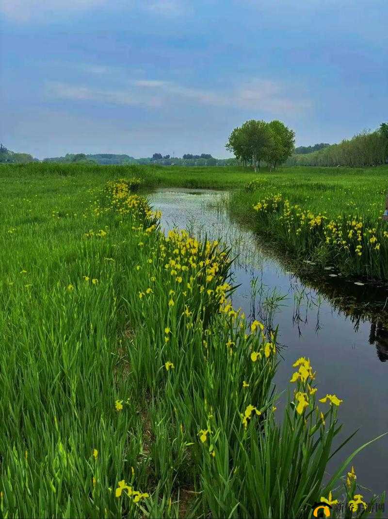 芳草萋萋流水潺潺美不可言的自然之美