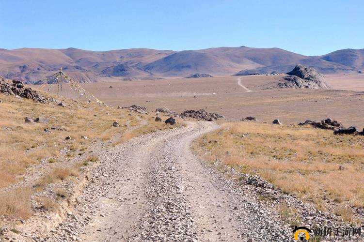 无人区码一码二码三：神秘的代码序列