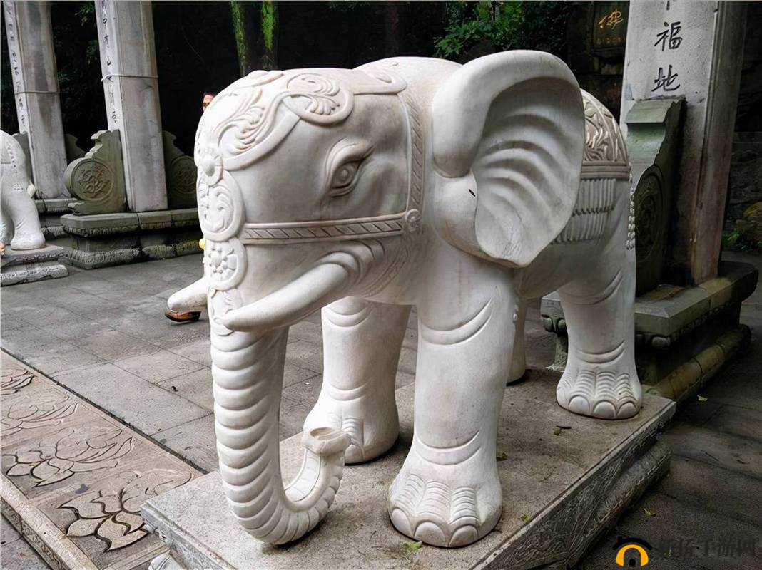 大象成品网站 1688 入口官网：优质商品批发平台