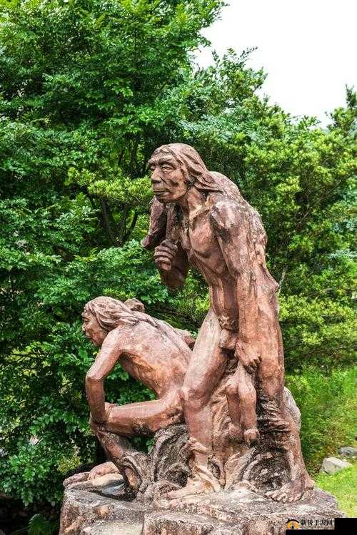 无人区编码 6229Jm 背后的秘密：真相探寻