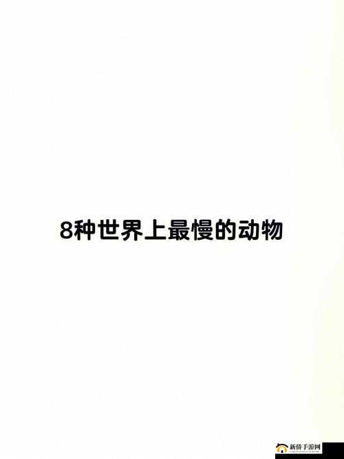 ZOOM 动物啦啦啦啦啦：奇趣动物世界等你来探索