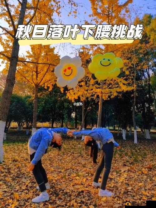 双胞胎姐妹齐上阵：共同挑战新任务