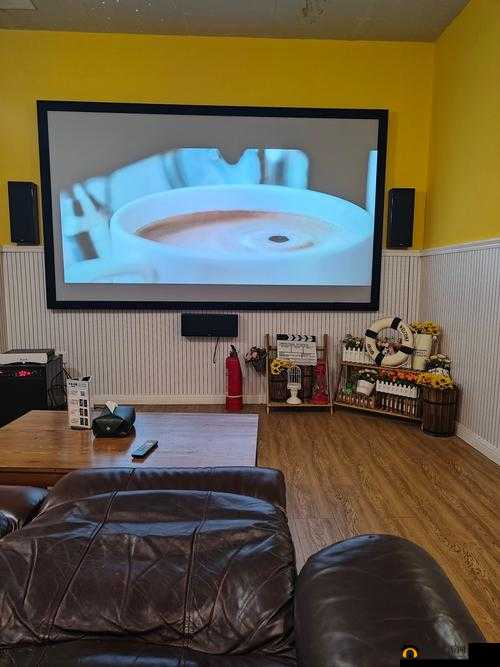 成都私人家庭影院：畅享极致观影体验