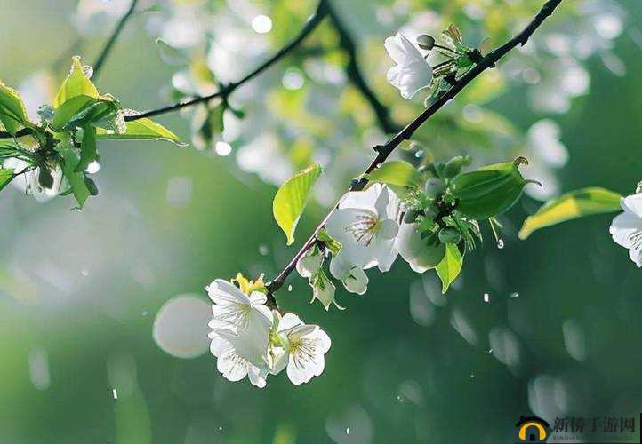 最囧游戏2第14关攻略：唤醒沉睡的小男孩Isaac的神秘之旅