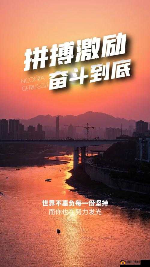 九一果冻制品厂最新电视剧达达兔：青春成长的奋斗与梦想