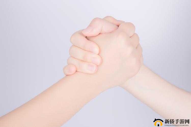 国际 B 站免费直播入口 MBA 智库：开启知识之旅