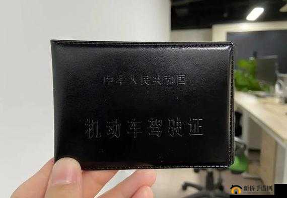 国产 A1A2A3 怎么样：品质与性能探究