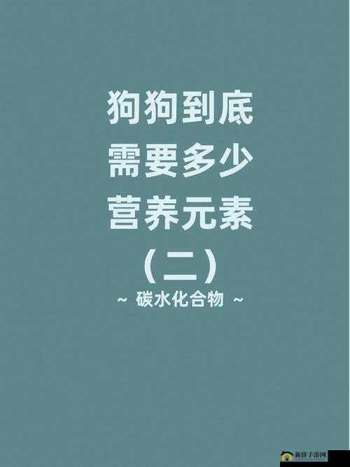 宠物合成揭秘：低级合成所需能量值是多少？探寻FJ答案的魅力之旅