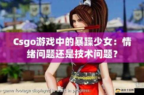 暴躁少女 CSGO：我的游戏世界