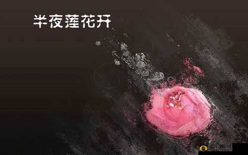 女性半夜莲花开：探索神秘的生理现象