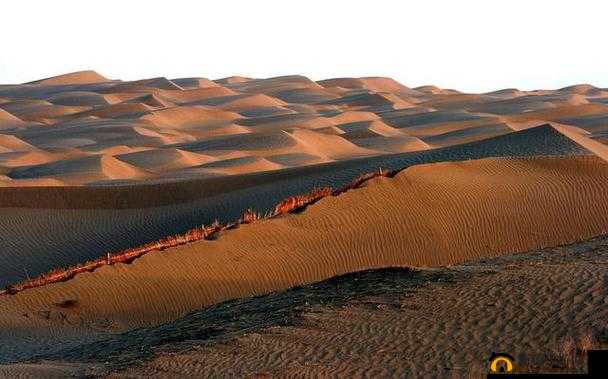 国产无人区：神秘的探险之旅