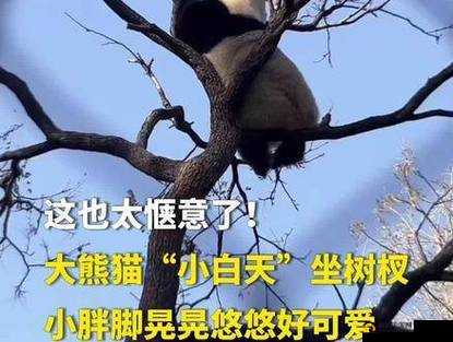 坐上去摇摇晃晃，夹得紧紧的