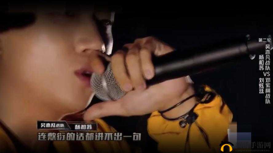 杨和苏最后的狂欢在第几集：探寻背后真相