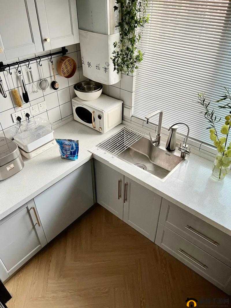 厨房一次又一次索要刷碗总的生活习惯：令人无奈