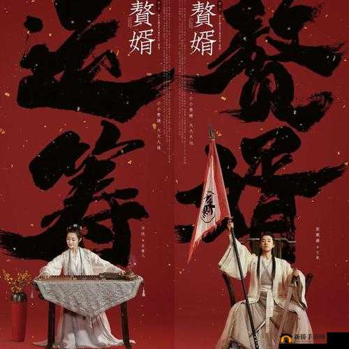 星空无限传媒在线观看电视剧赘婿：精彩剧情不容错过